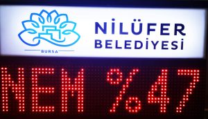 nilüfer